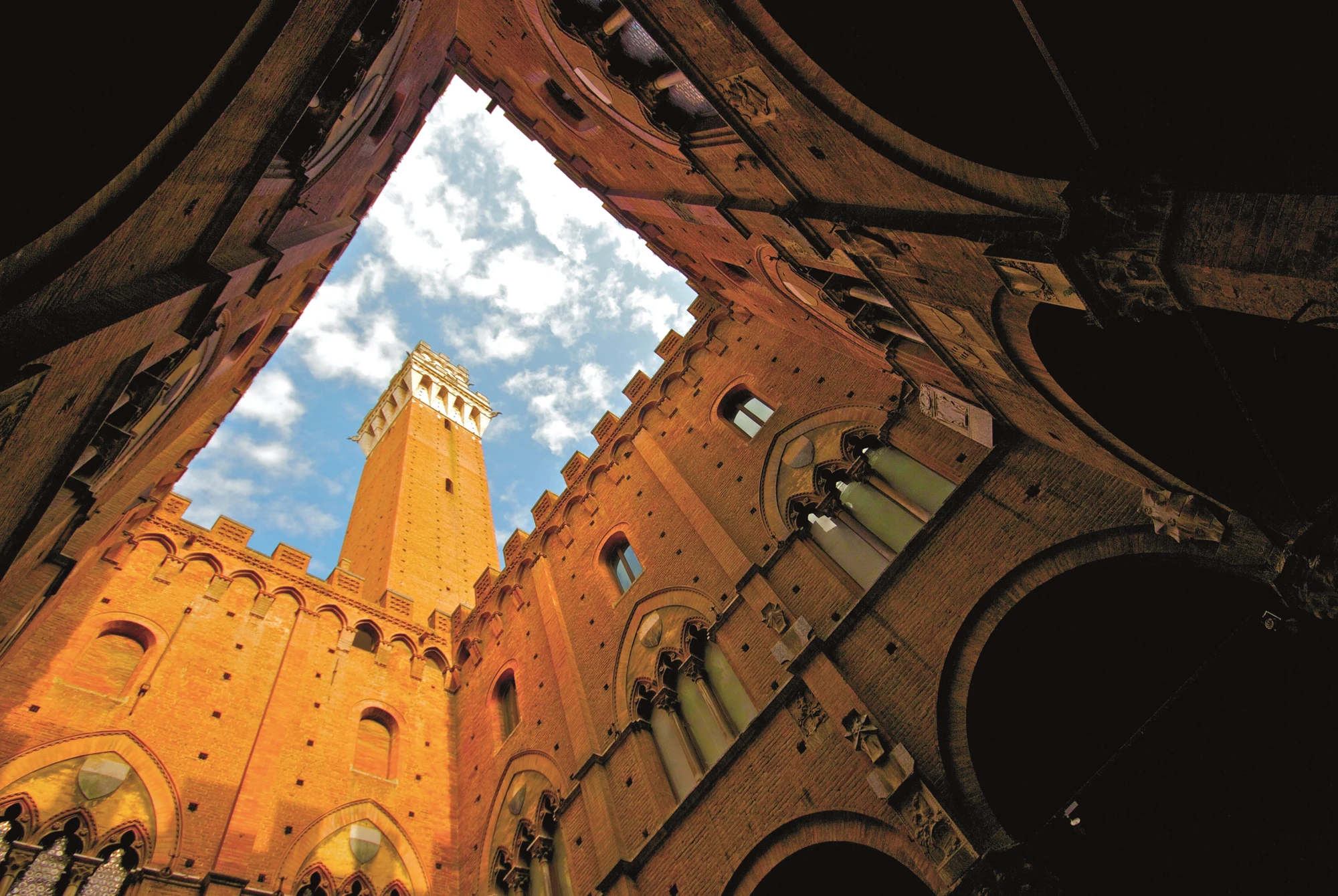 siena2